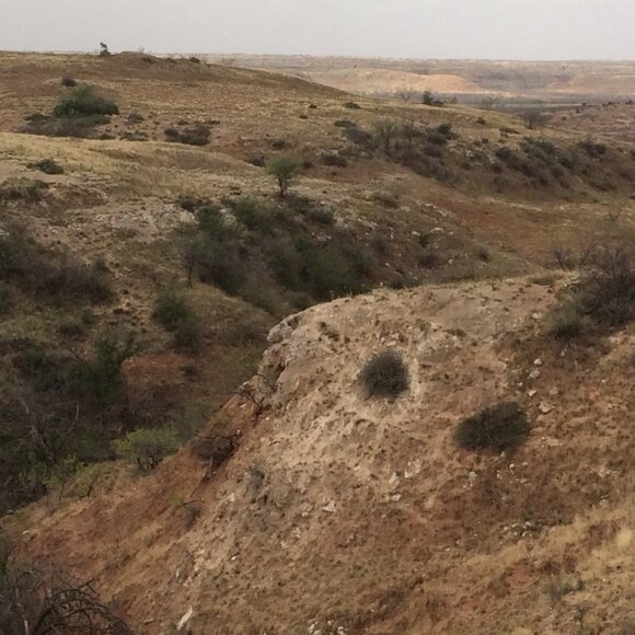 Meet your Posher, William - Picture 13 of 16